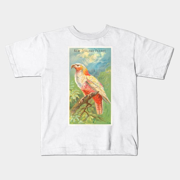 New Zealand Parrot Kids T-Shirt by WAITE-SMITH VINTAGE ART